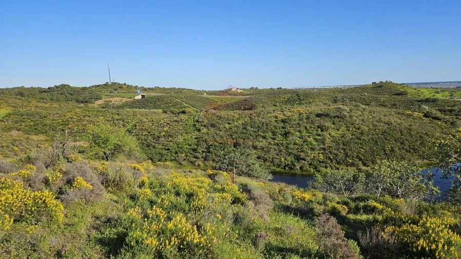 Terreno Agricola ou Rústico para Venda em Castro Marim Foto 14