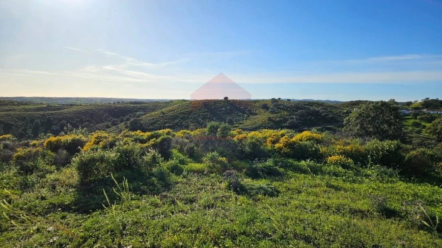 Terreno Agricola ou Rústico para Venda em Castro Marim Foto 15