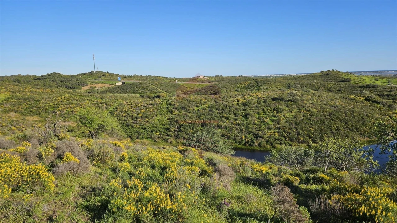 Terreno Agricola ou Rústico para Venda em Castro Marim Foto 14