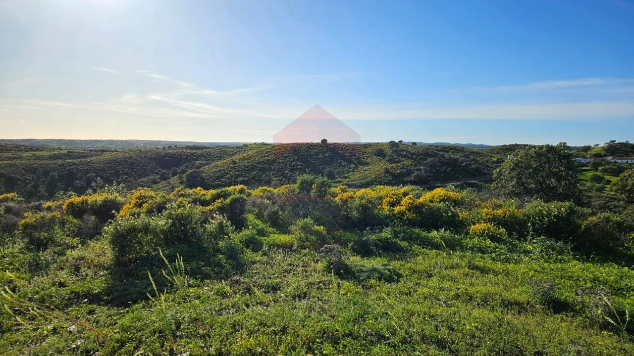 Terreno Agricola ou Rústico para Venda em Castro Marim Foto 15