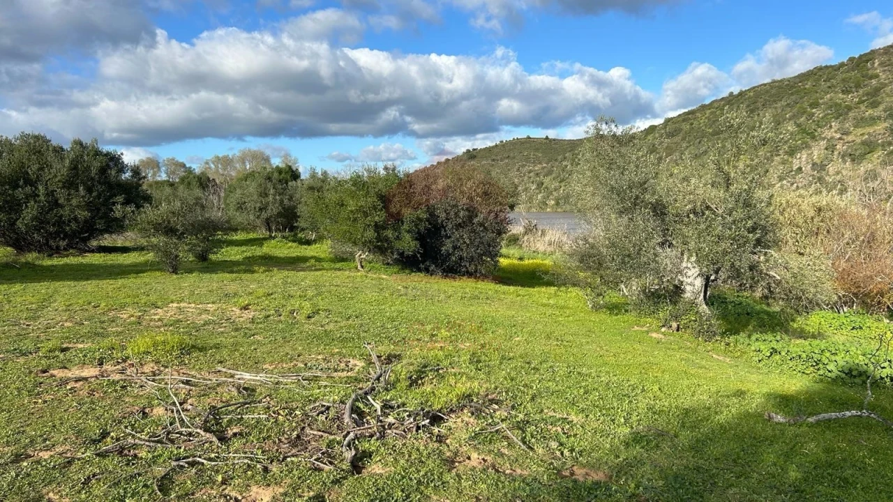 Terreno Agricola ou Rústico para Venda em Alcoutim e Pereiro Foto 9