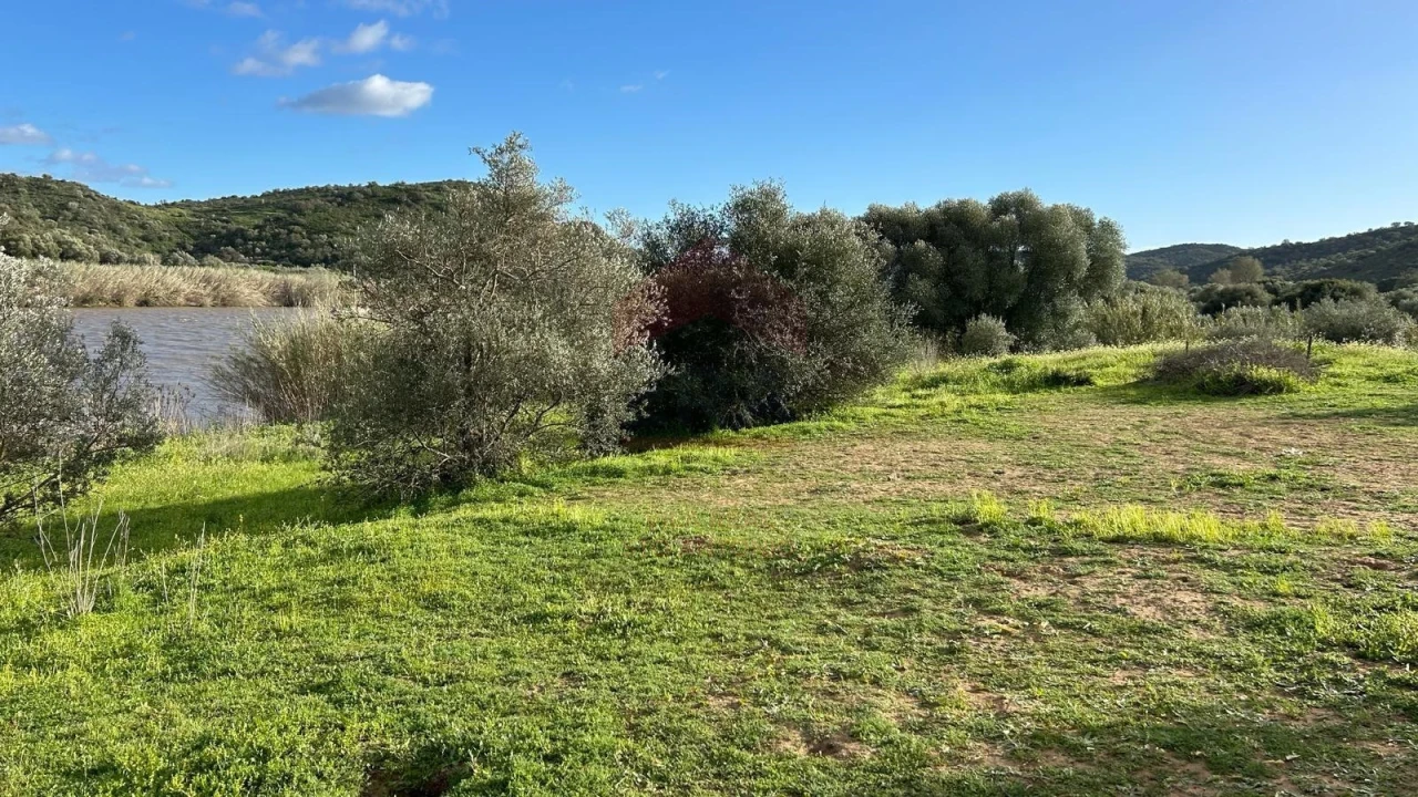 Terreno Agricola ou Rústico para Venda em Alcoutim e Pereiro Foto 2