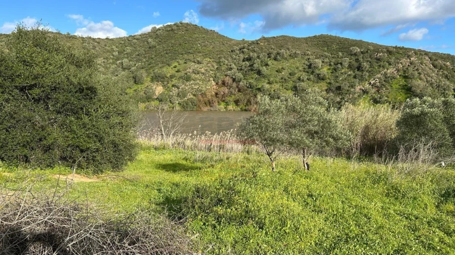 Terreno Agricola ou Rústico para Venda em Alcoutim e Pereiro Foto 3
