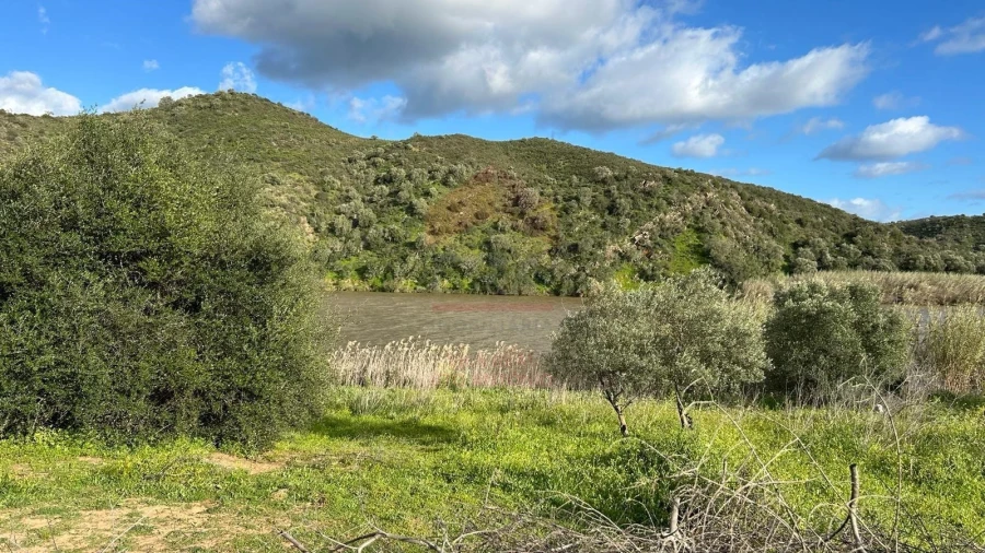 Terreno Agricola ou Rústico para Venda em Alcoutim e Pereiro Foto 10
