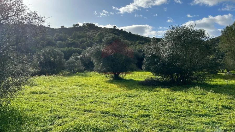 Terreno Agricola ou Rústico para Venda em Alcoutim e Pereiro Foto 6