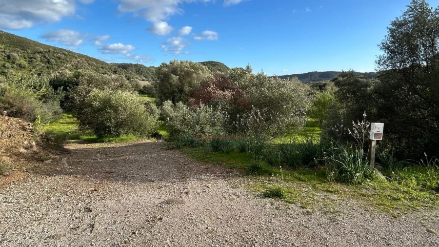 Terreno Agricola ou Rústico para Venda em Alcoutim e Pereiro Foto 8