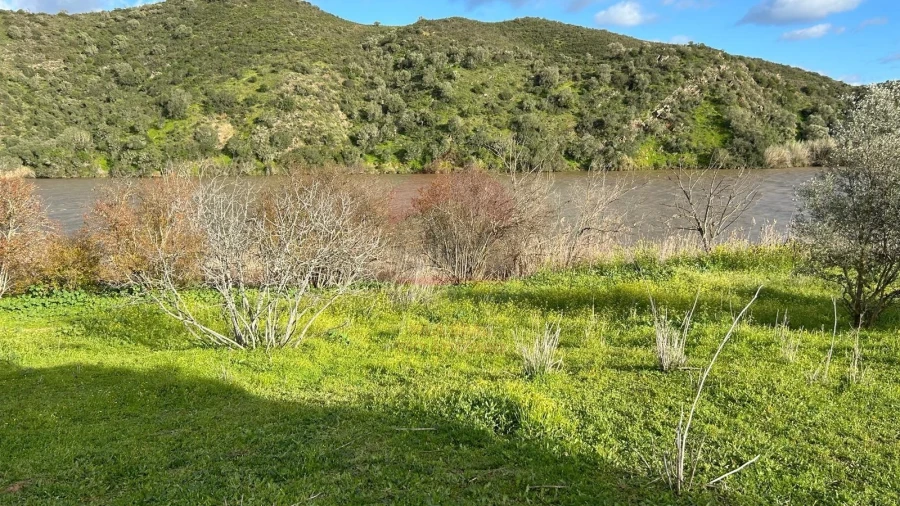 Terreno Agricola ou Rústico para Venda em Alcoutim e Pereiro Foto 11