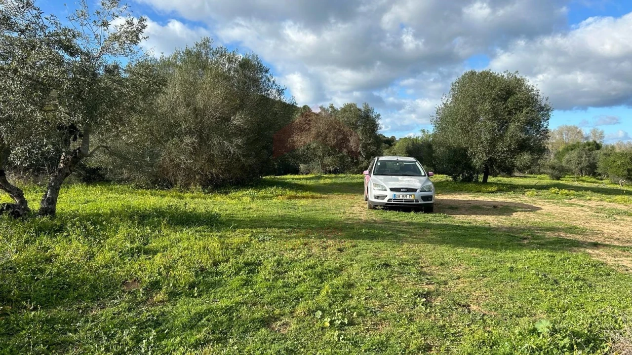 Terreno Agricola ou Rústico para Venda em Alcoutim e Pereiro Foto 5