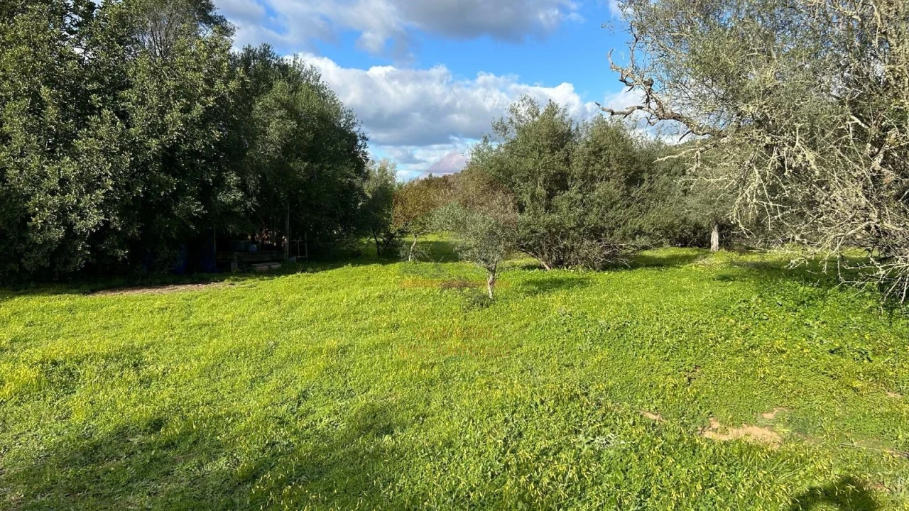 Terreno Agricola ou Rústico para Venda em Alcoutim e Pereiro Foto 7