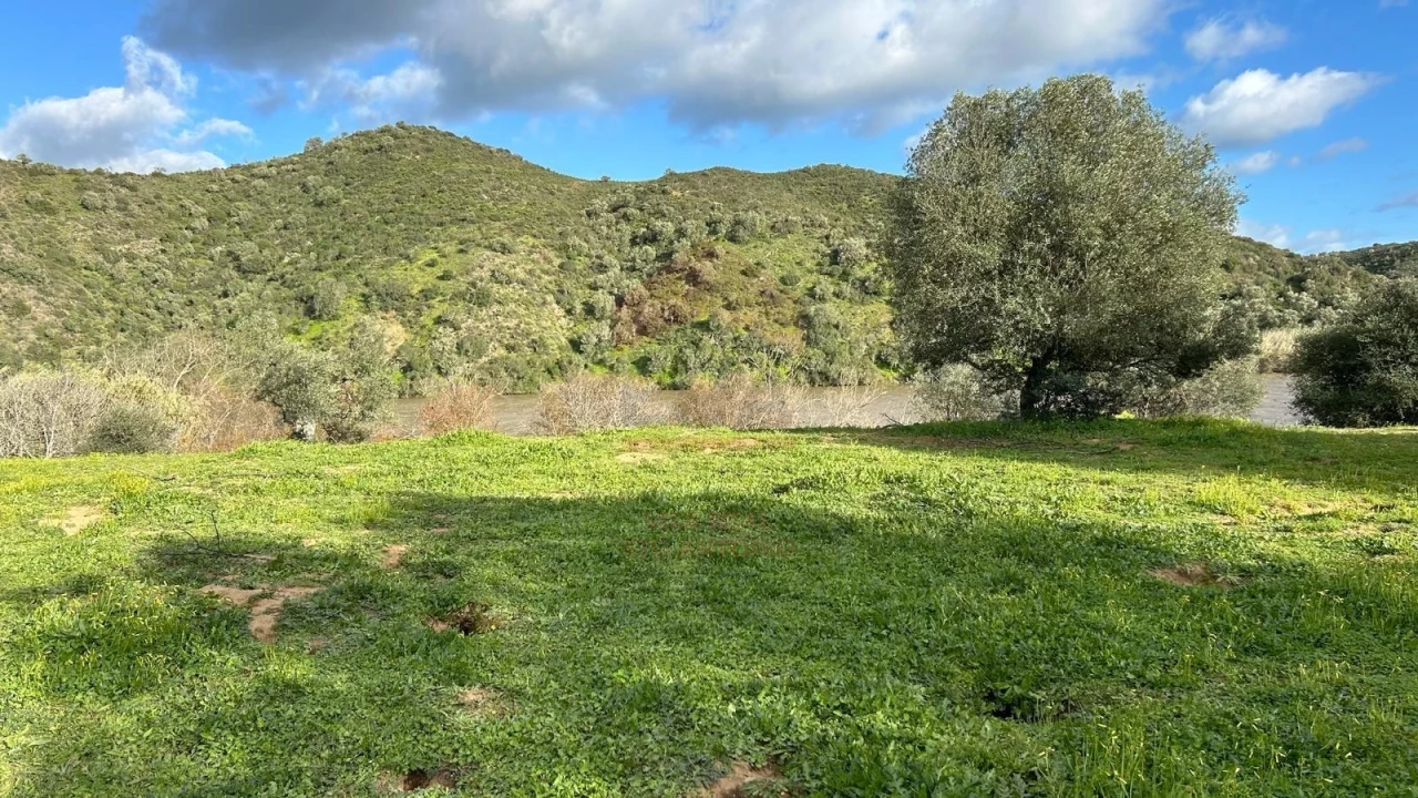 Terreno Agricola ou Rústico para Venda em Alcoutim e Pereiro Foto 1