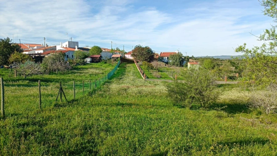 Terreno Agricola ou Rústico para Venda em Alcoutim e Pereiro Foto 1