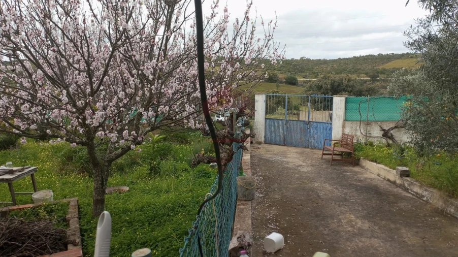 Moradia T0 para Venda em Alcoutim e Pereiro Foto 3