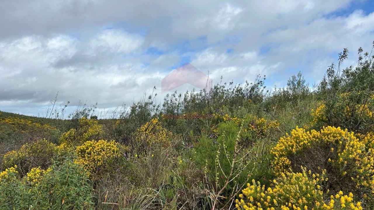 Terreno Agricola ou Rústico para Venda em Alcoutim e Pereiro Foto 5