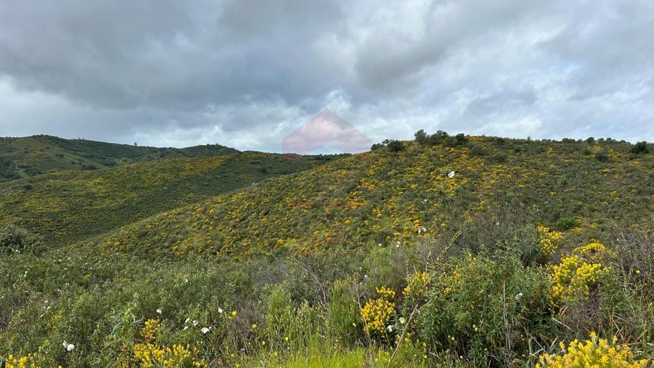 Terreno Agricola ou Rústico para Venda em Alcoutim e Pereiro Foto 1