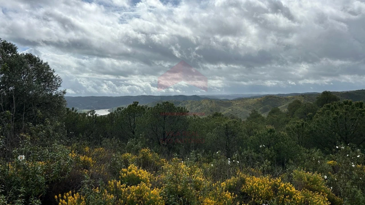 Terreno Agricola ou Rústico para Venda em Alcoutim e Pereiro Foto 6