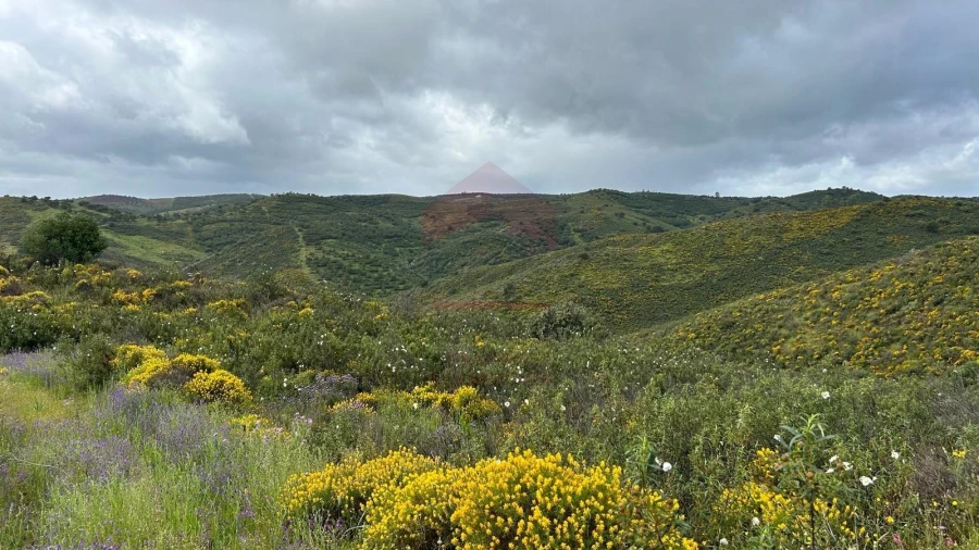 Terreno Agricola ou Rústico para Venda em Alcoutim e Pereiro Foto 2