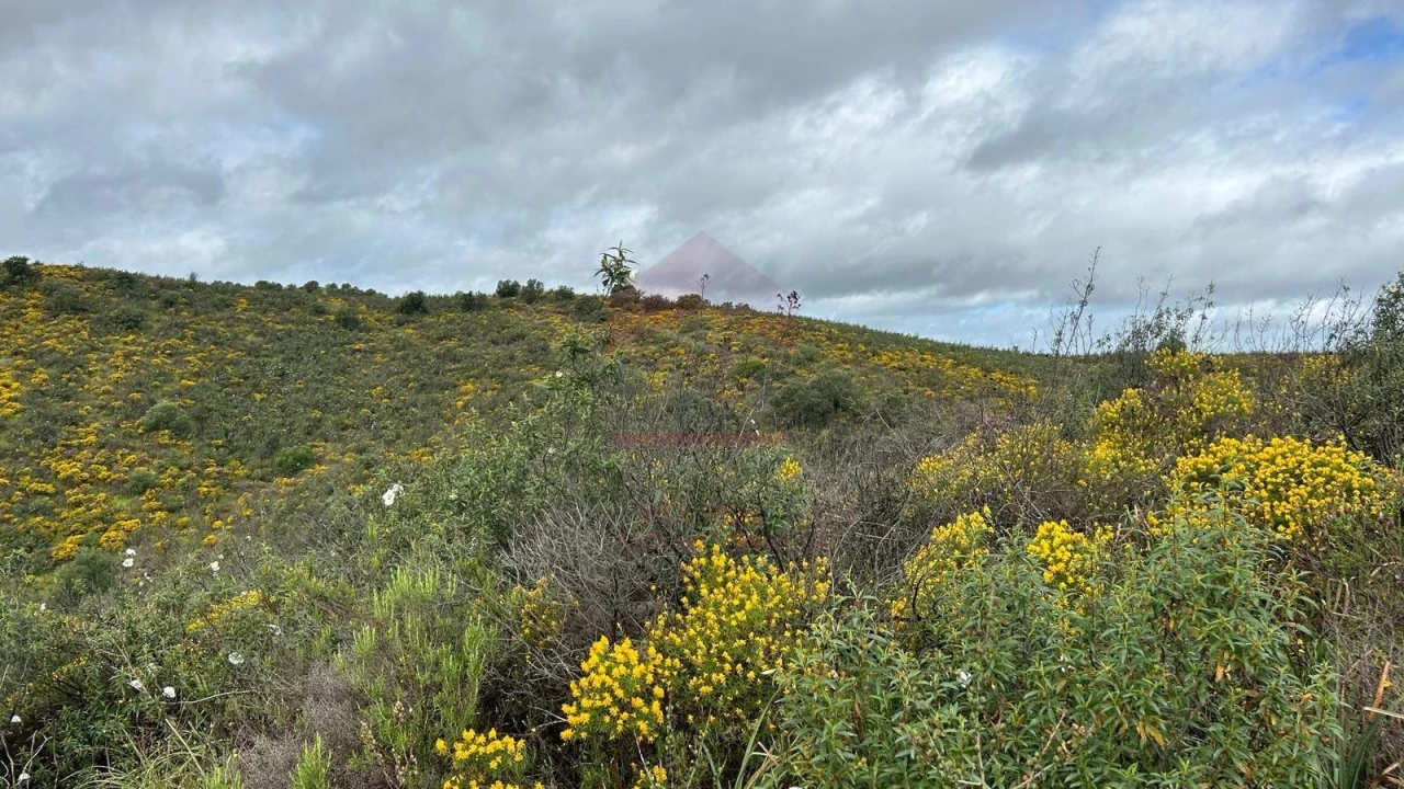 Terreno Agricola ou Rústico para Venda em Alcoutim e Pereiro Foto 3