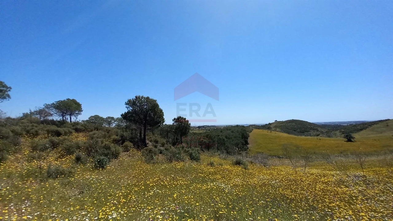 Terreno Agricola ou Rústico para Venda em Castro Marim Foto 4