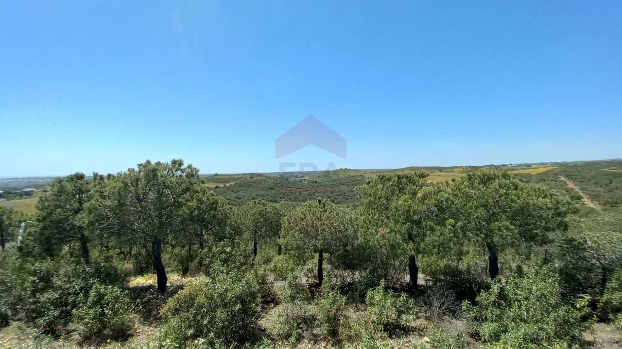 Terreno Agricola ou Rústico para Venda em Castro Marim Foto 2