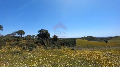 Terreno Agricola ou Rústico para Venda em Castro Marim