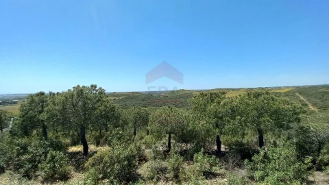 Terreno Agricola ou Rústico para Venda em Castro Marim