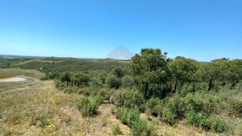 Terreno Agricola ou Rústico para Venda em Castro Marim