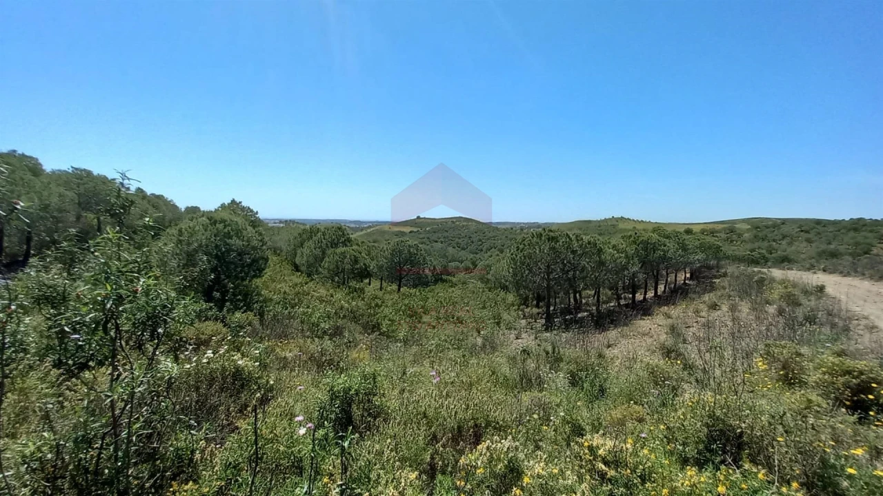 Terreno Agricola ou Rústico para Venda em Castro Marim Foto 3