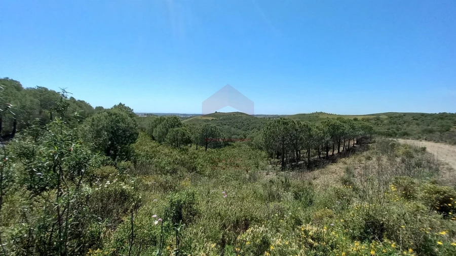 Terreno Agricola ou Rústico para Venda em Castro Marim Foto 3
