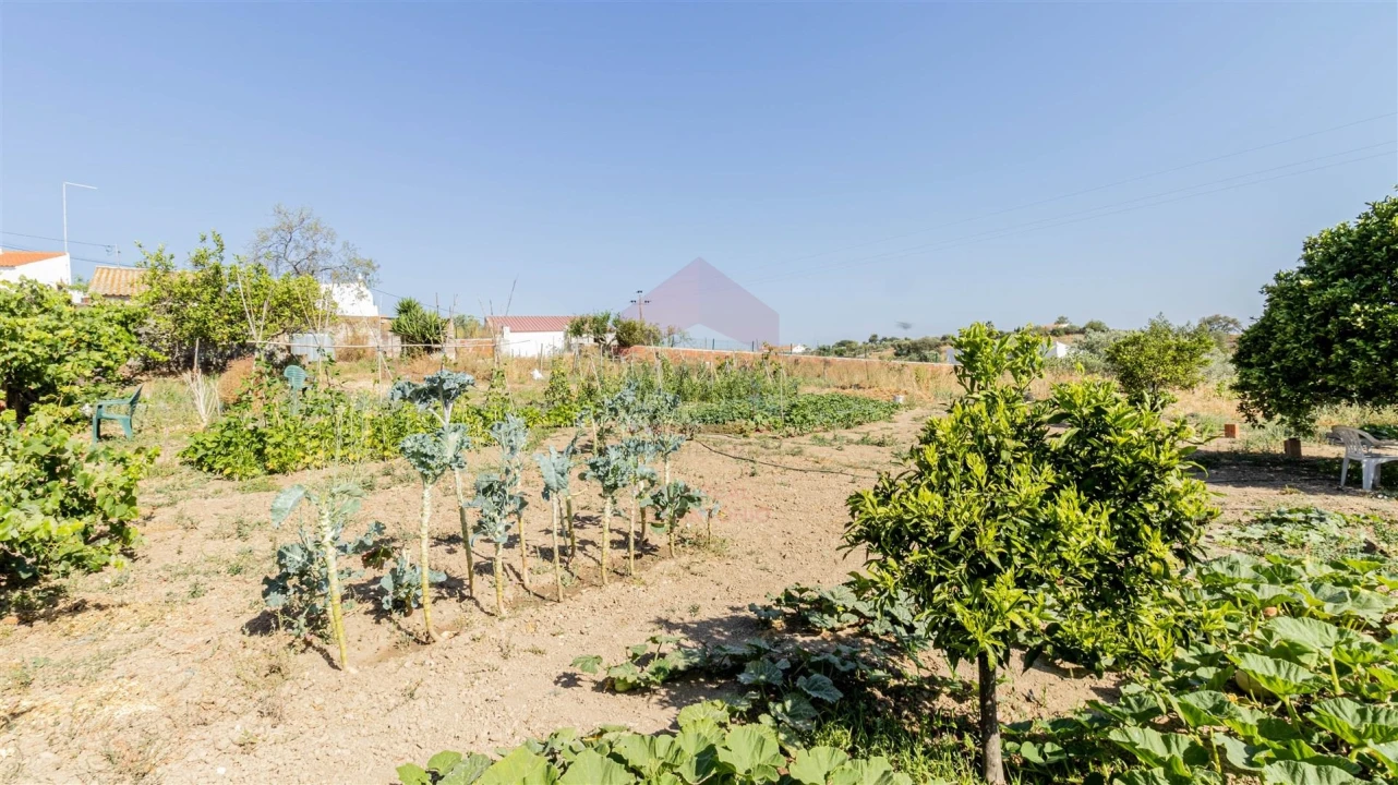 Armazém para Venda em Alcoutim e Pereiro Foto 6