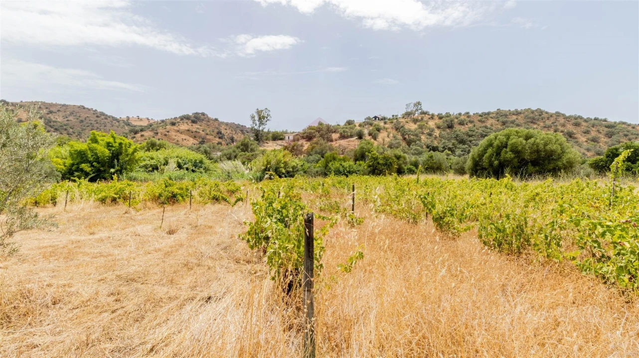 Terreno Agricola ou Rústico para Venda em Alcoutim e Pereiro Foto 4