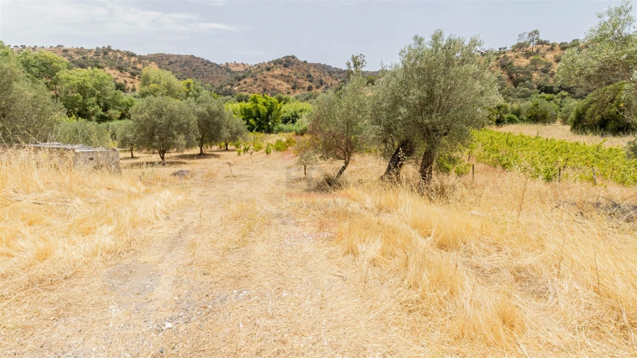 Terreno Agricola ou Rústico para Venda em Alcoutim e Pereiro Foto 6