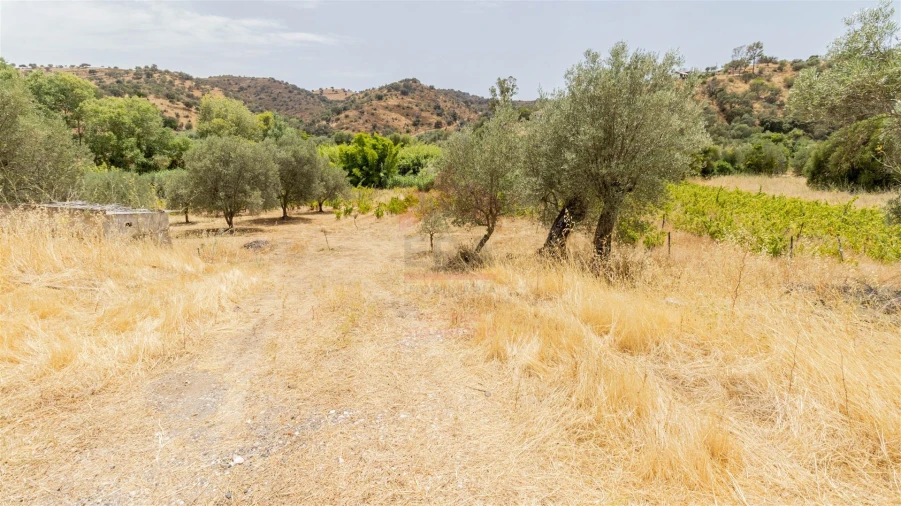 Terreno Agricola ou Rústico para Venda em Alcoutim e Pereiro Foto 6
