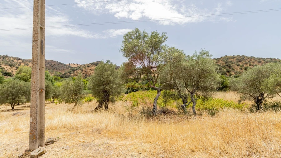 Terreno Agricola ou Rústico para Venda em Alcoutim e Pereiro Foto 3
