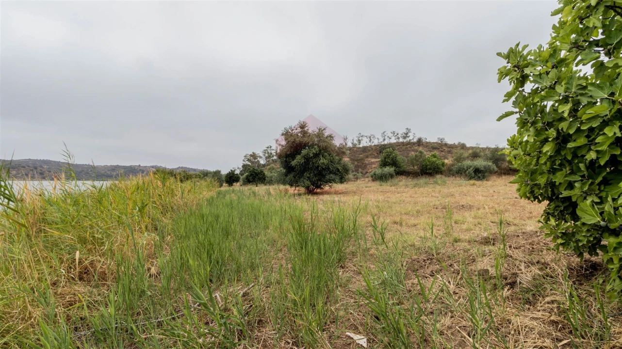 Terreno Agricola ou Rústico para Venda em Odeleite Foto 1