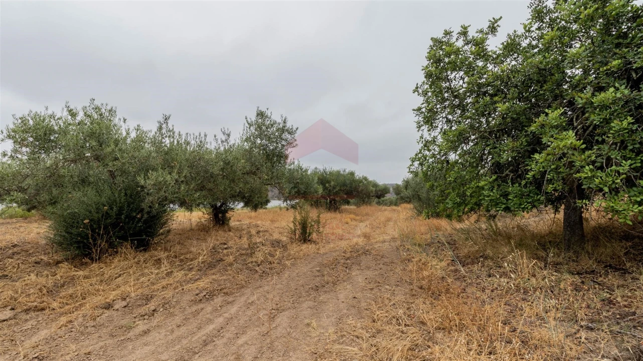 Terreno Agricola ou Rústico para Venda em Odeleite Foto 6