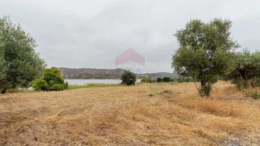 Terreno Agricola ou Rústico para Venda em Odeleite Foto 5