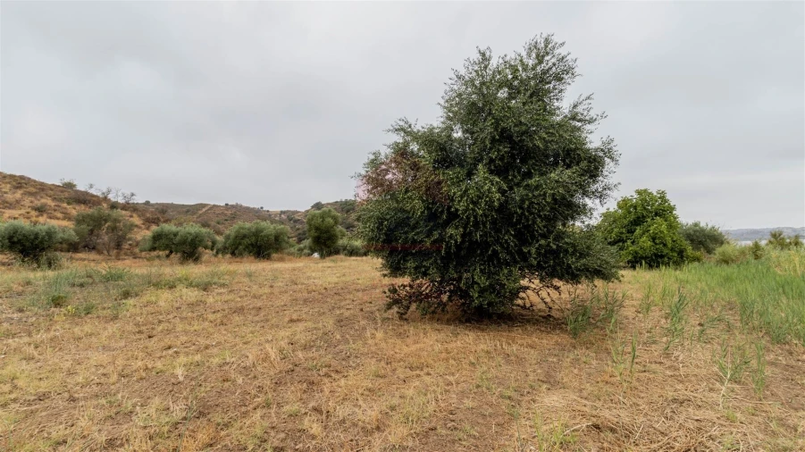 Terreno Agricola ou Rústico para Venda em Odeleite Foto 8
