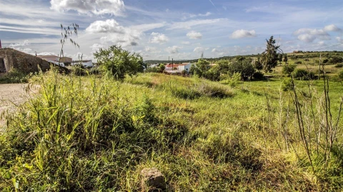 Terreno para Venda em Alcoutim e Pereiro