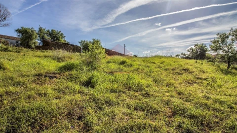 Terreno para Venda em Alcoutim e Pereiro