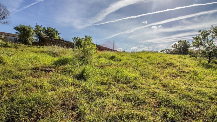 Terreno para Venda em Alcoutim e Pereiro Foto 13