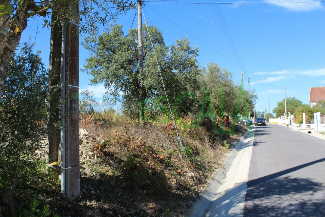 Terreno para Venda em Cartaxo e Vale da Pinta Foto 11