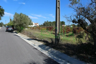 Terreno para Venda em Cartaxo e Vale da Pinta