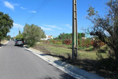 Terreno para Venda em Cartaxo e Vale da Pinta