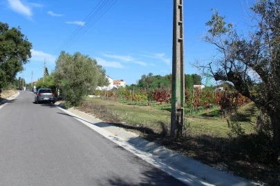Terreno para Venda em Cartaxo e Vale da Pinta