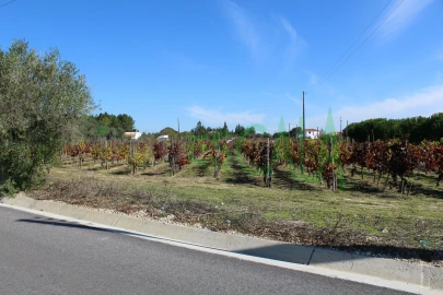 Terreno para Venda em Cartaxo e Vale da Pinta