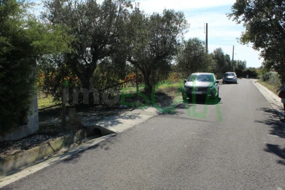 Terreno para Venda em Cartaxo e Vale da Pinta
