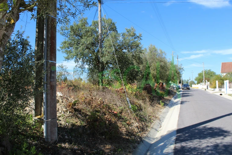 Terreno para Venda em Cartaxo e Vale da Pinta Foto 11