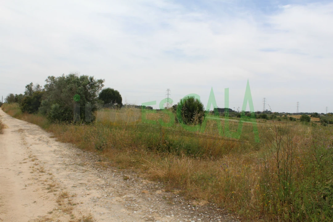 Terreno Agricola ou Rústico para Venda em Cartaxo e Vale da Pinta Foto 1