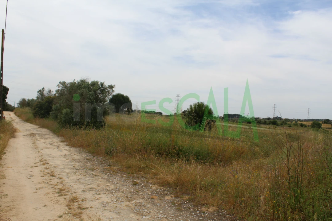 Terreno Agricola ou Rústico para Venda em Cartaxo e Vale da Pinta Foto 10