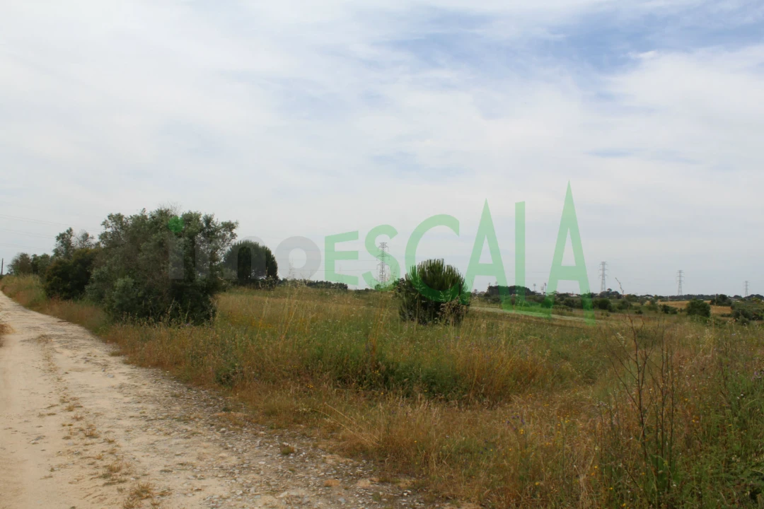 Terreno Agricola ou Rústico para Venda em Cartaxo e Vale da Pinta Foto 11